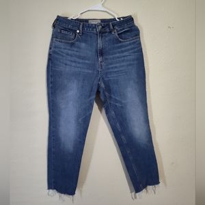 Everlane The Curvy Cheeky Jean